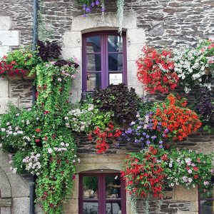 Rochefort-en-Terre_13