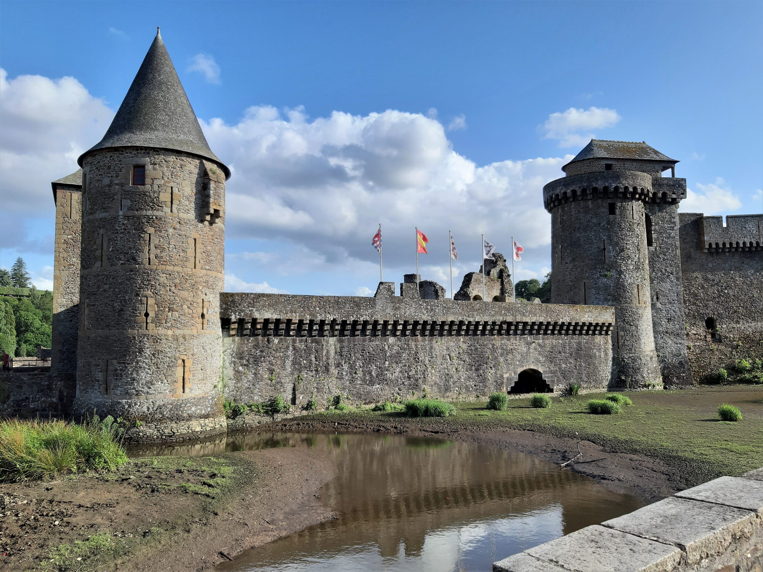 Fougères Fougères