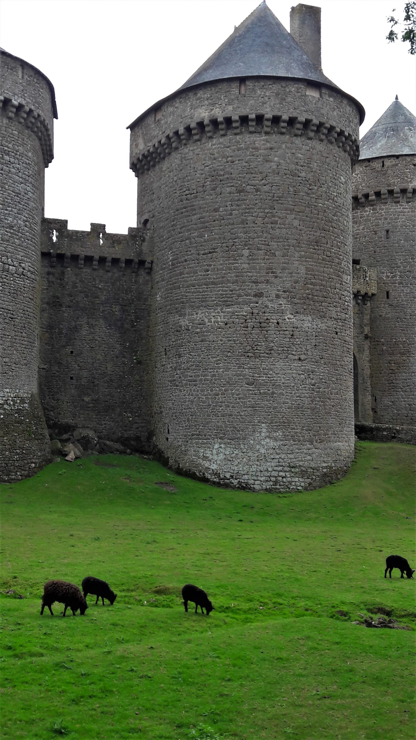 Lassay-les-Châteaux