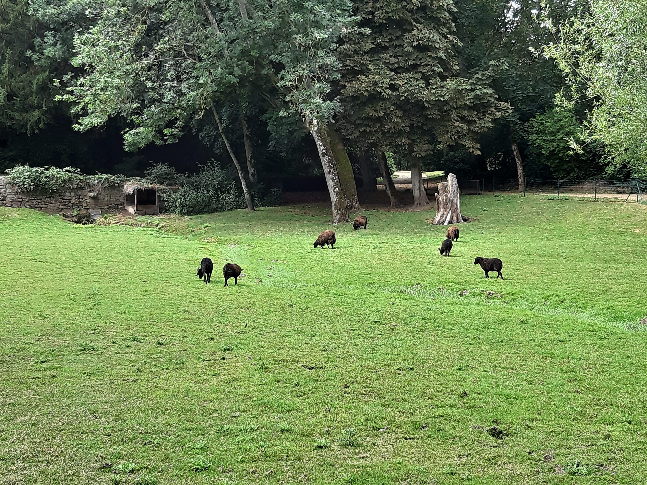 Lassay-les-Châteaux