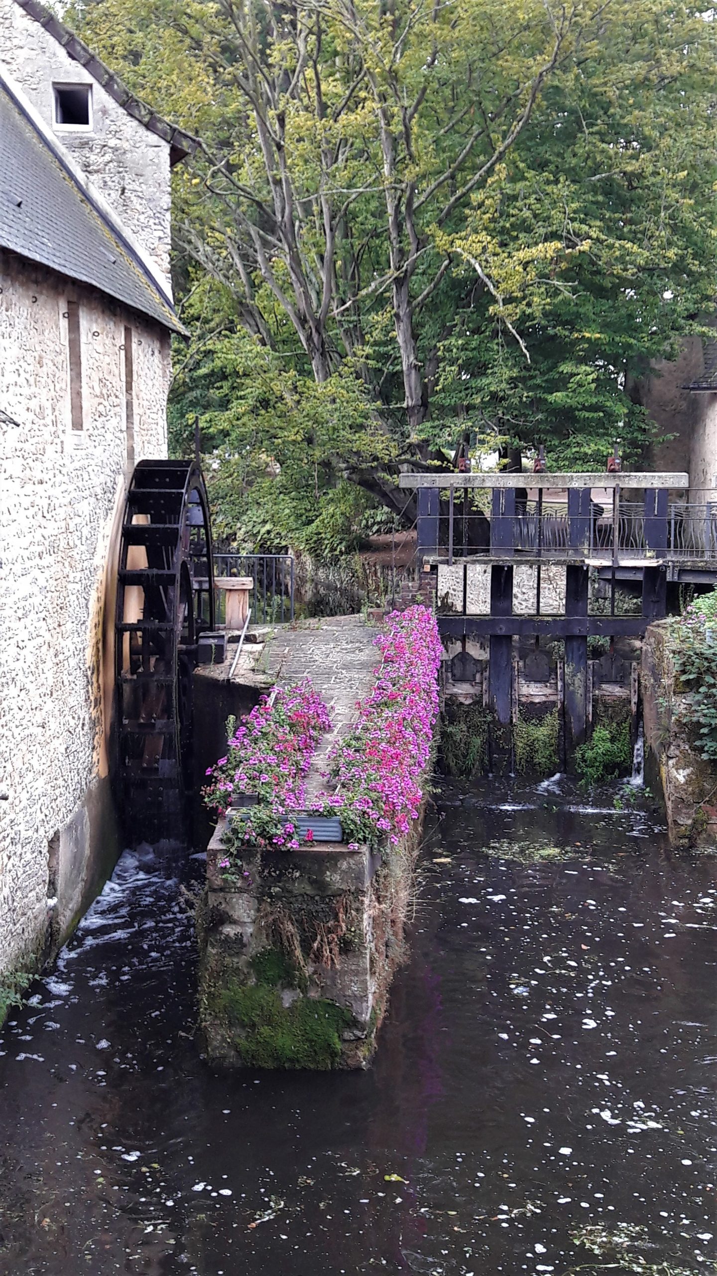 Bayeux