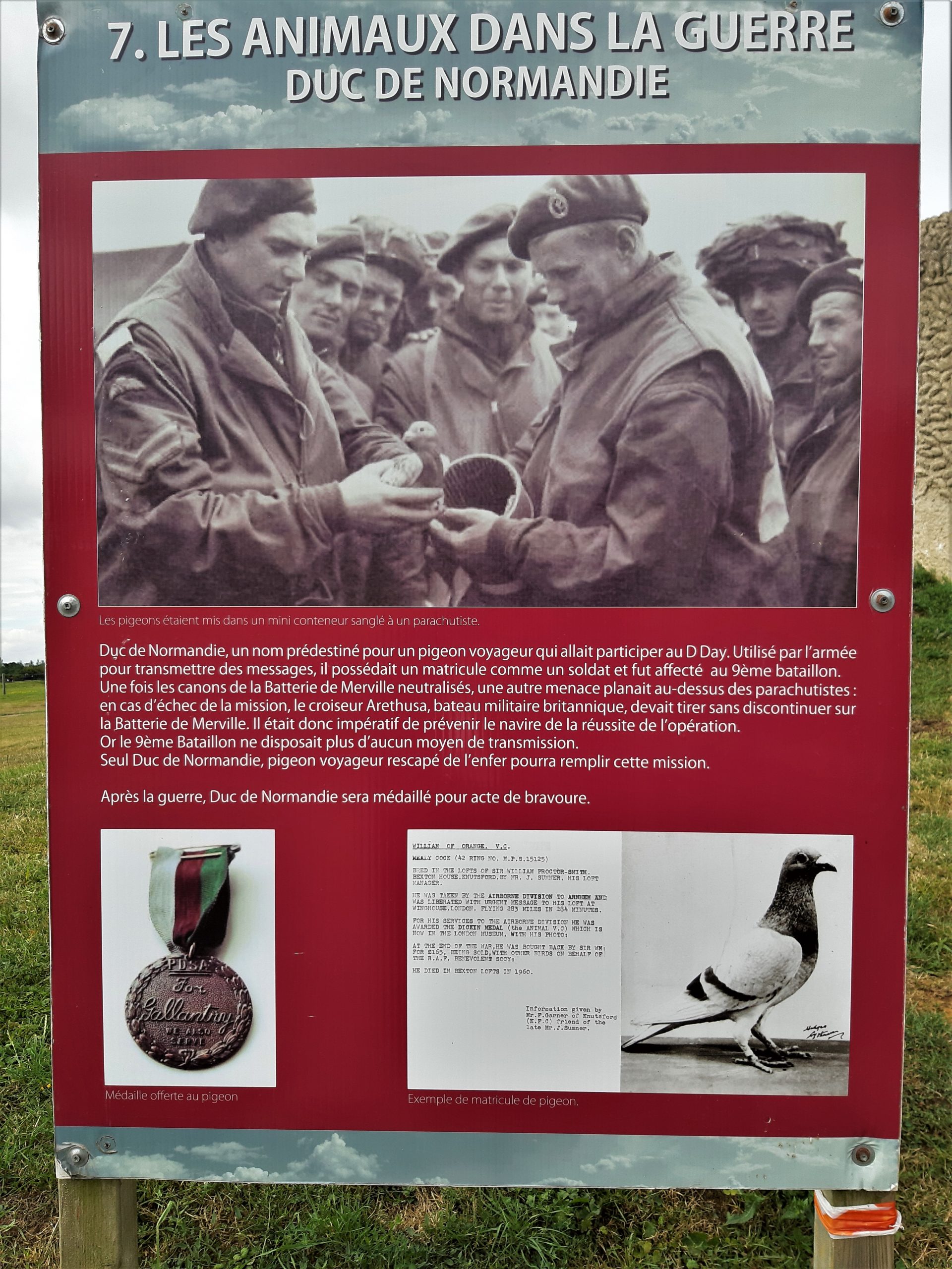 Museo de Merville-Franceville Museo de Merville-Franceville