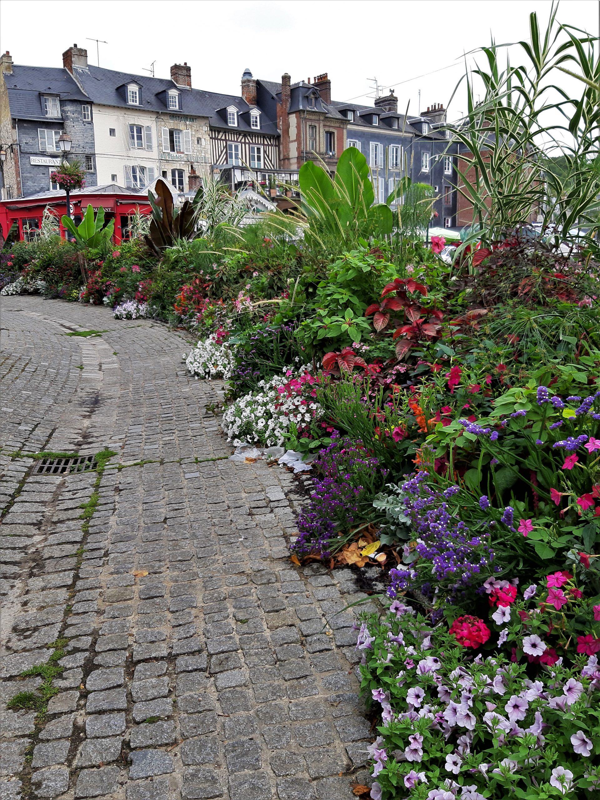 Honfleur