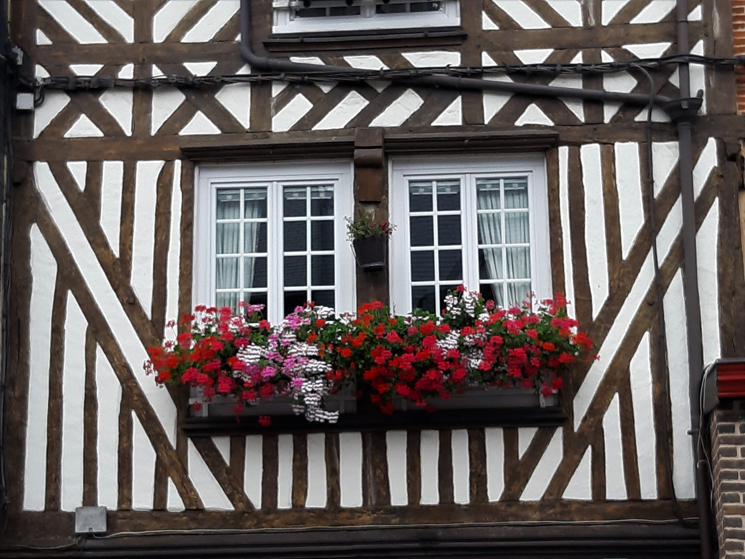 Honfleur