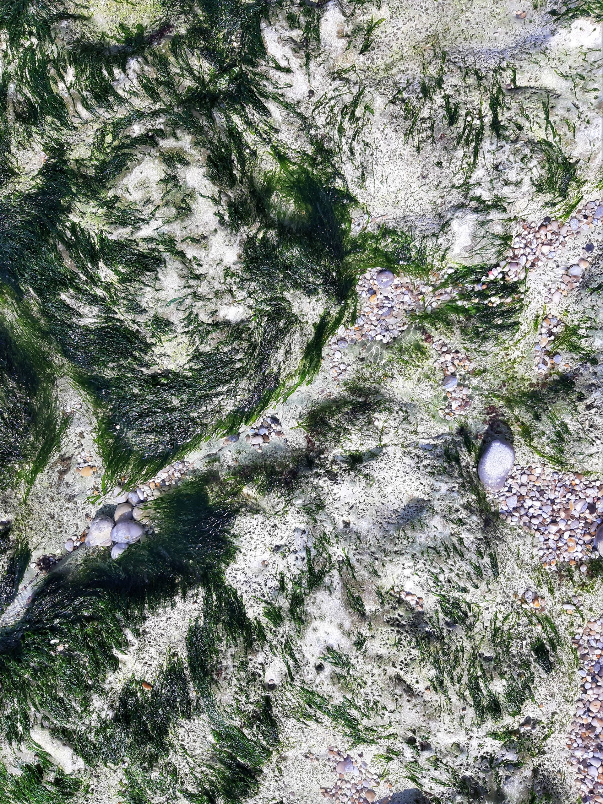 Étretat