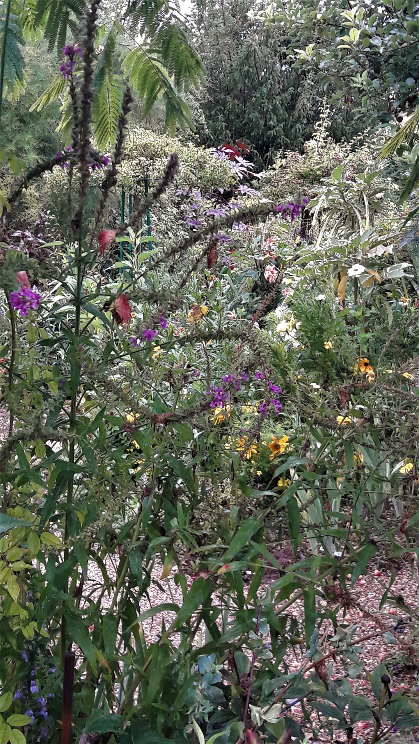 Giverny