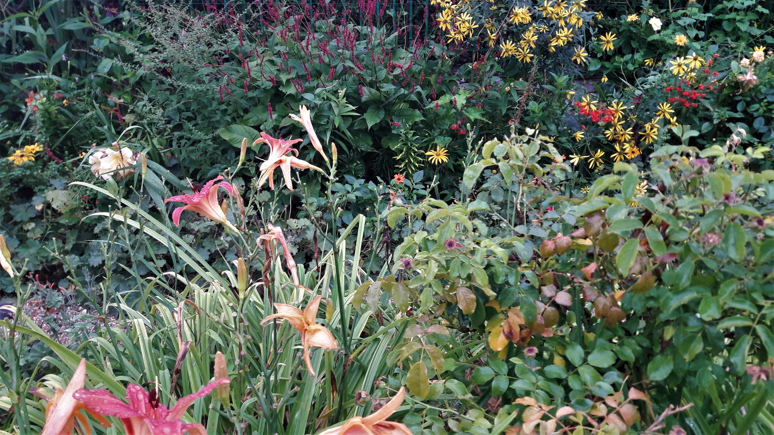 Giverny