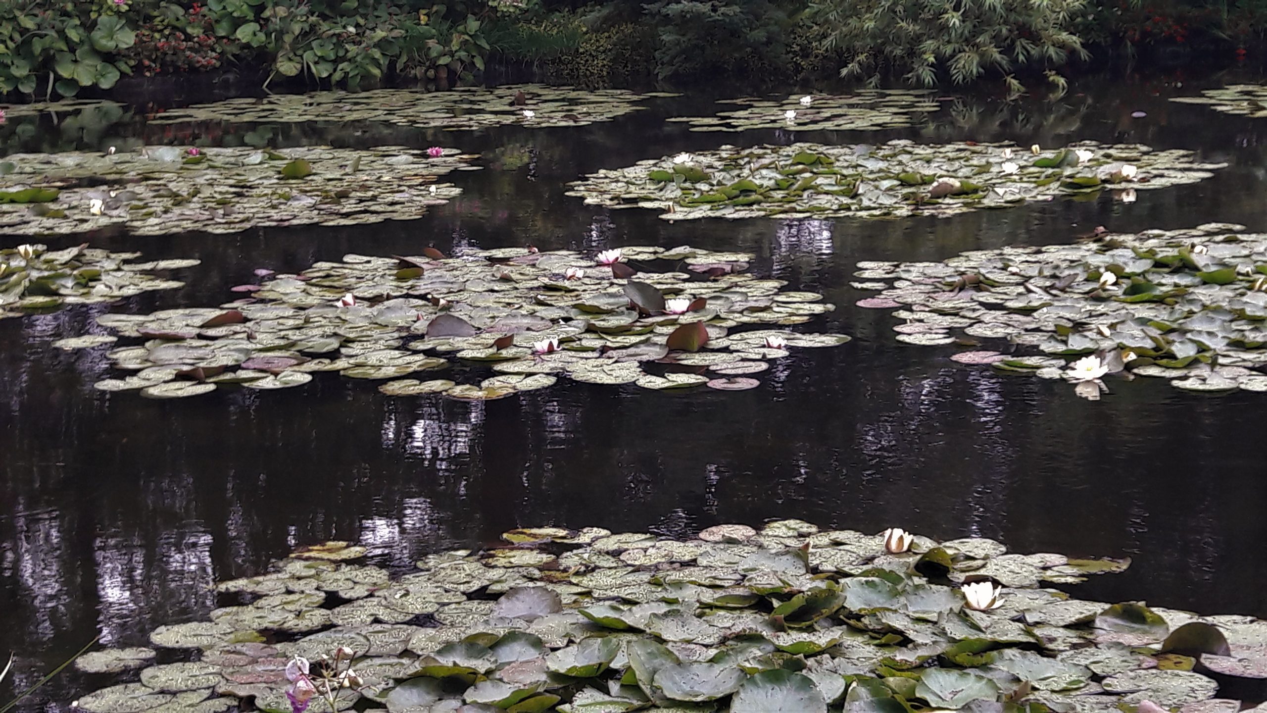 Giverny