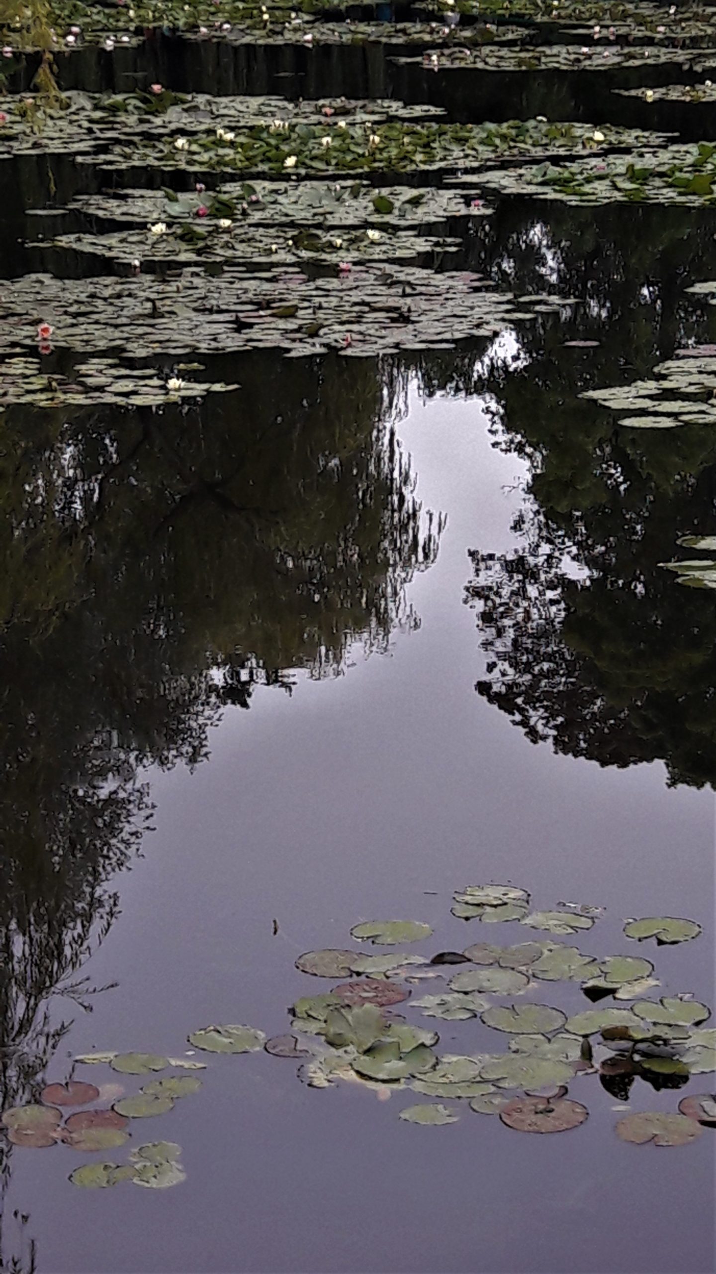 Giverny