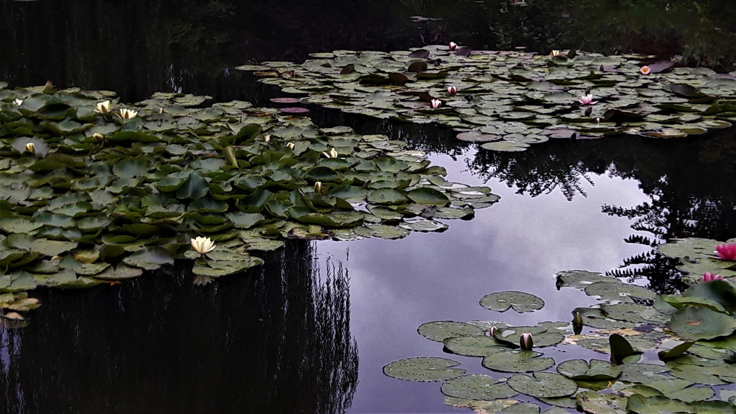 Giverny