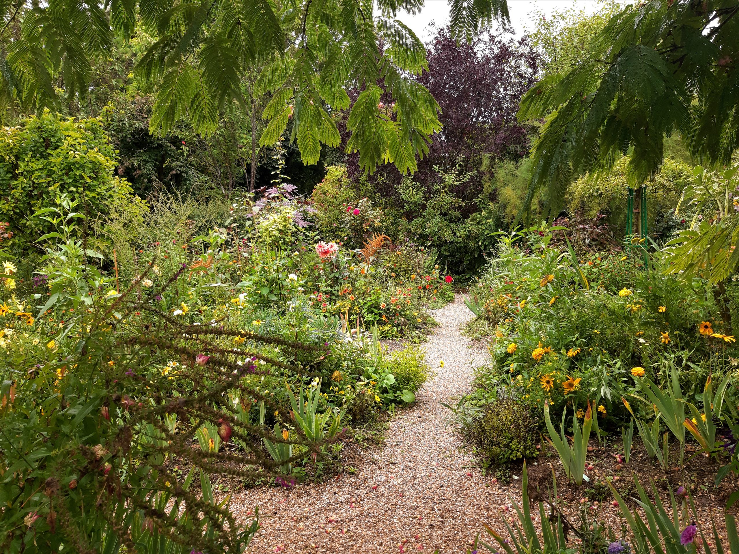 Giverny