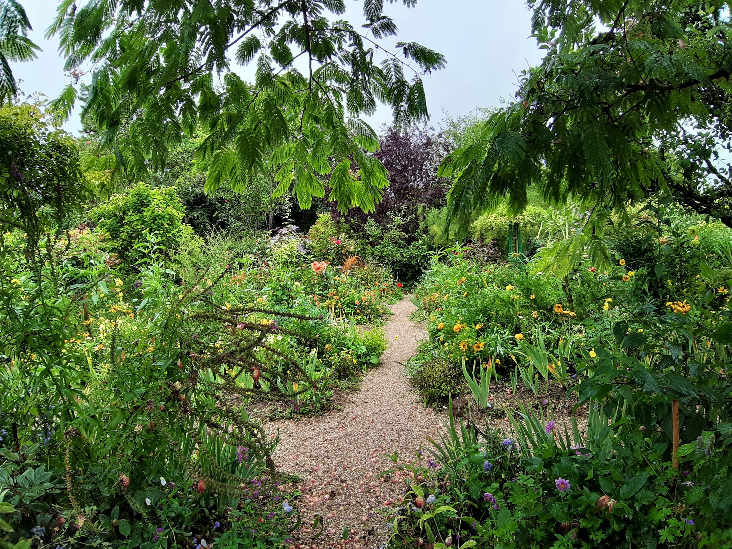 Giverny