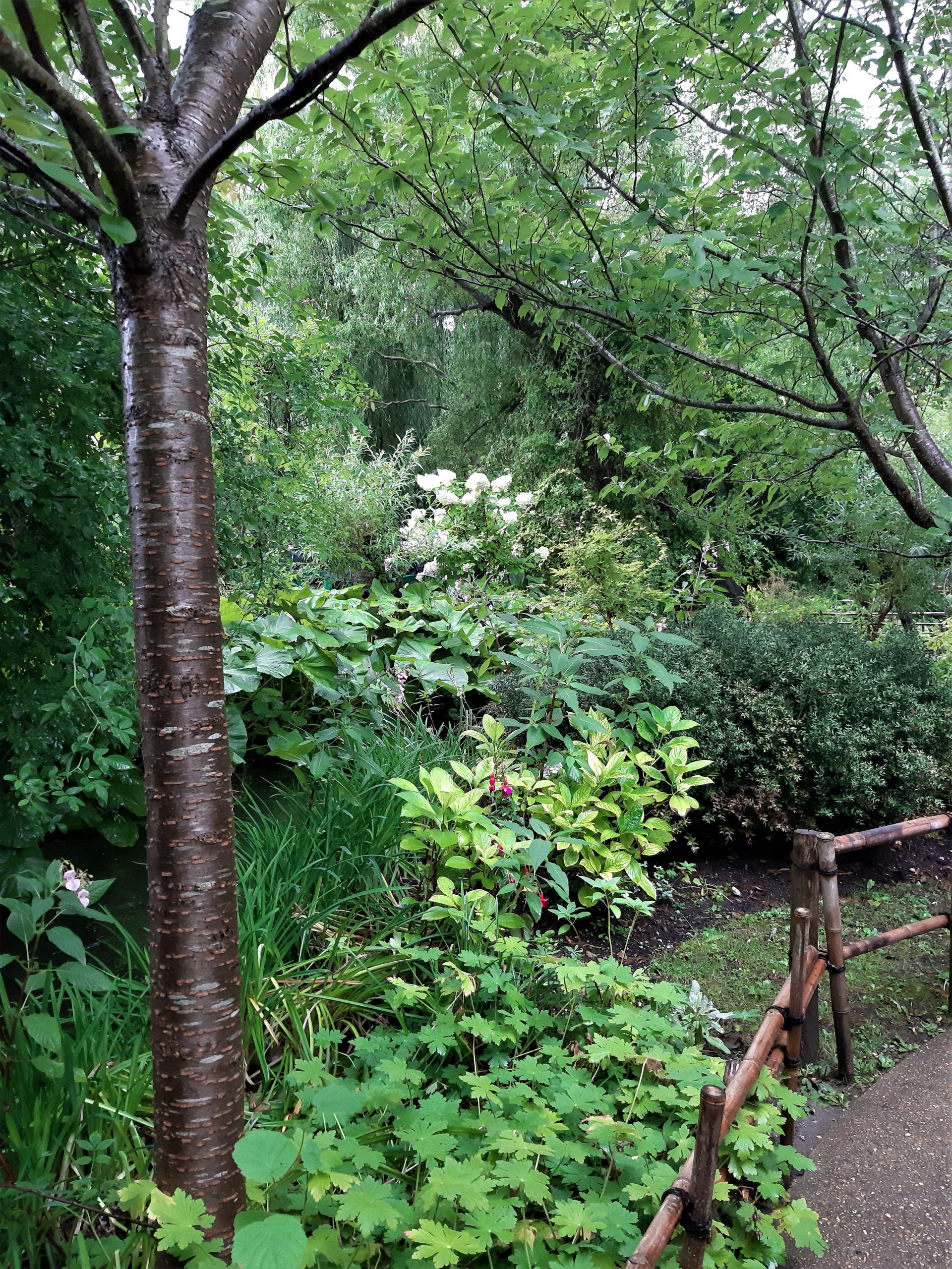 Giverny