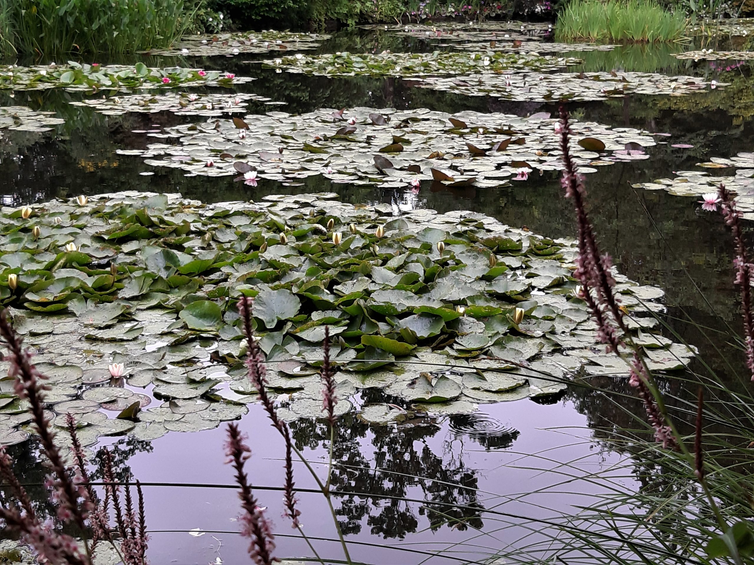 Giverny