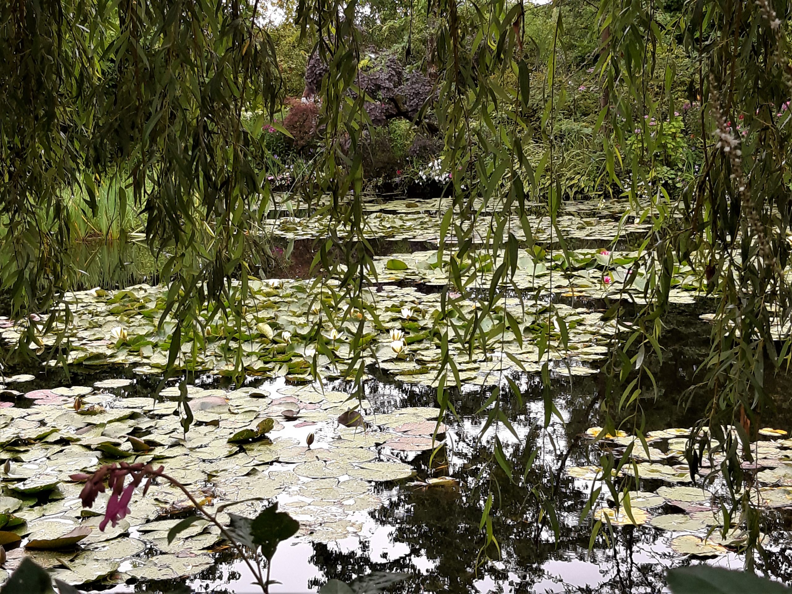 Giverny