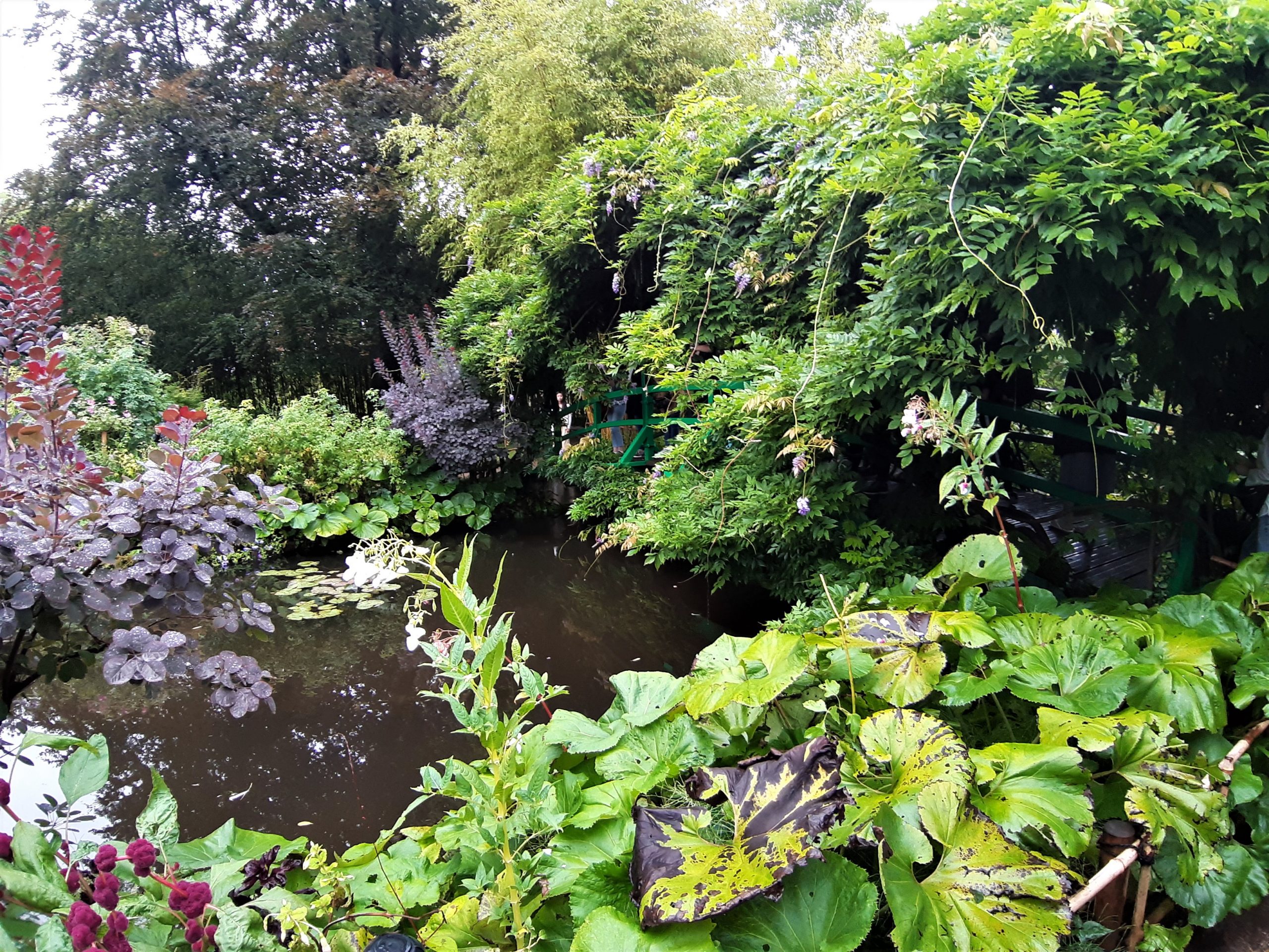 Giverny