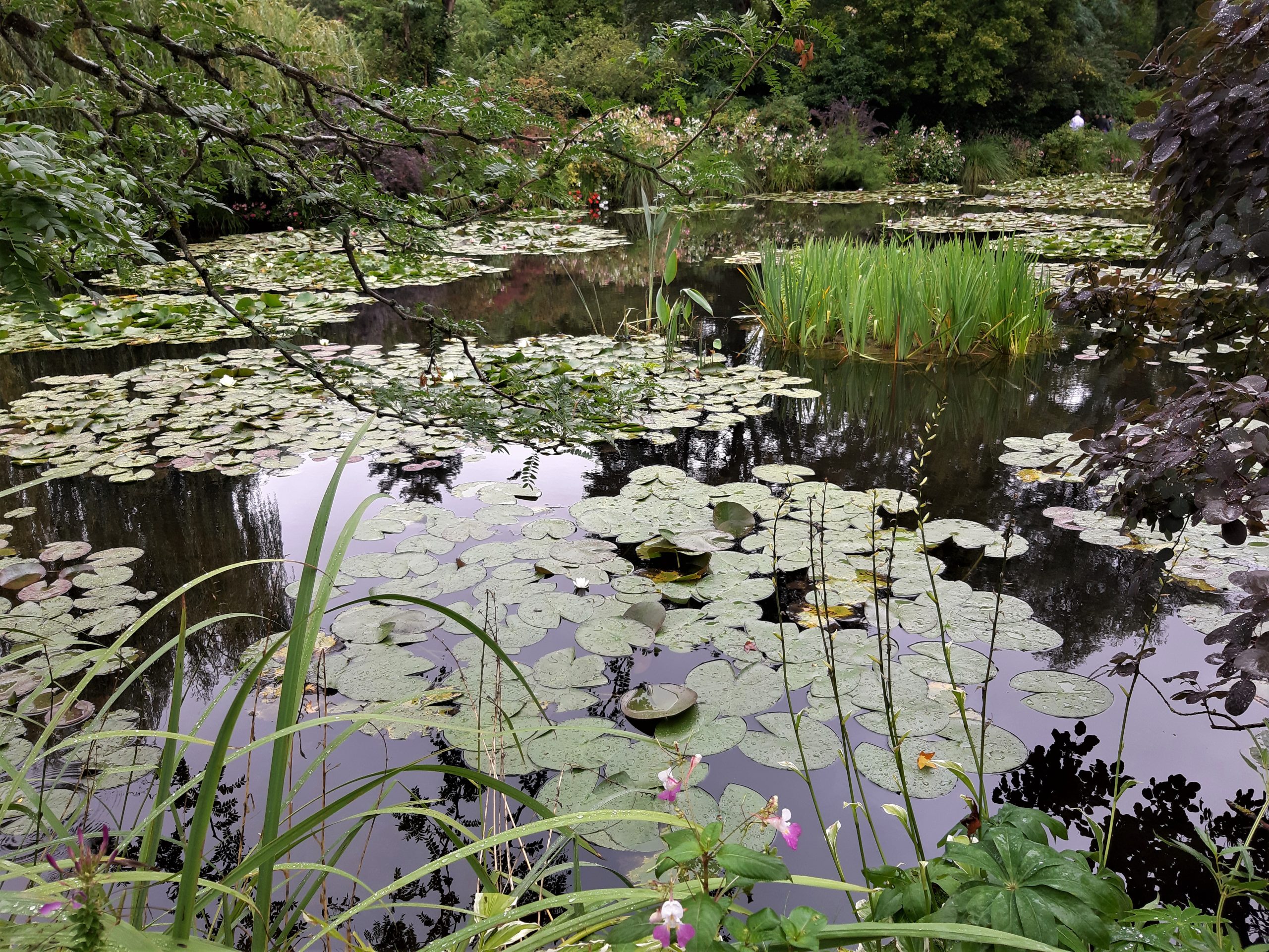 Giverny