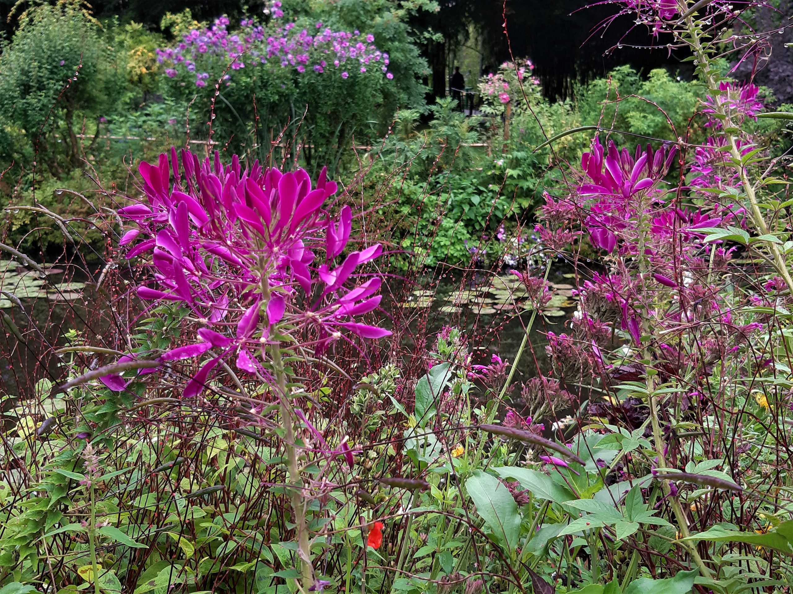 Giverny