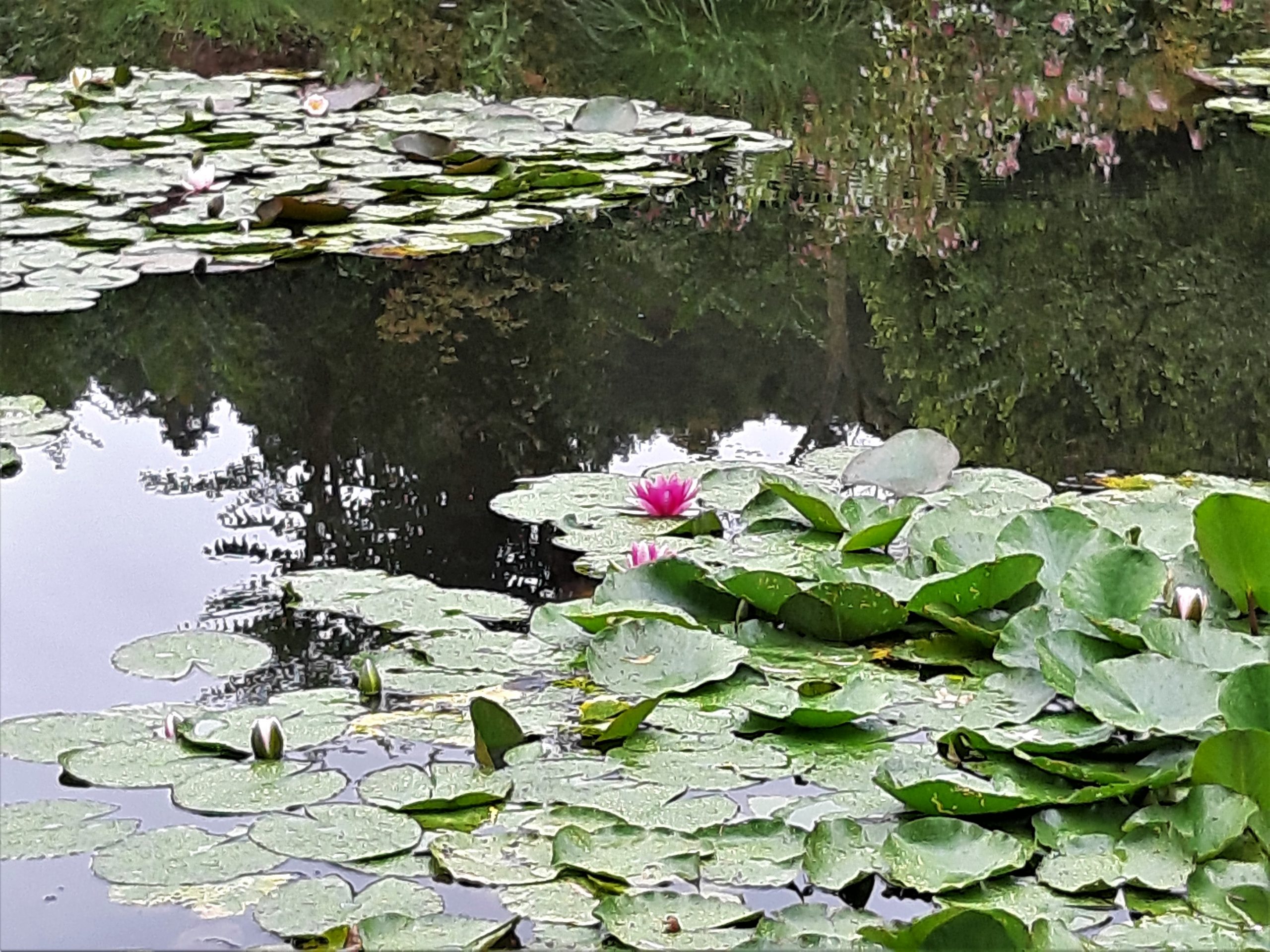 Giverny