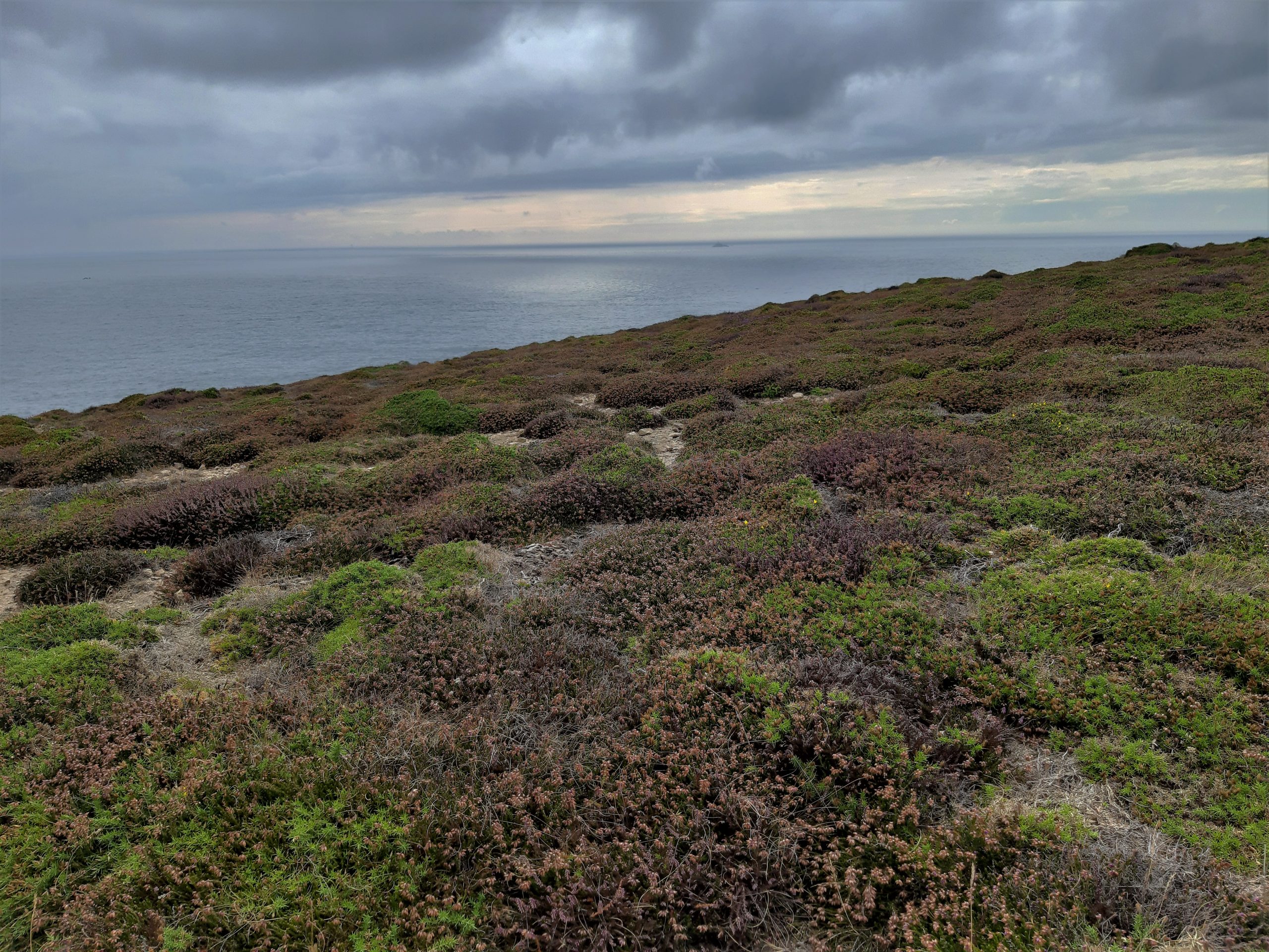 Pointe du Van