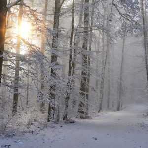 invierno